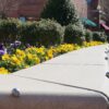 Grind To A Halt Ball-shaped Grinder Minders installed on an outdoor concrete planter.