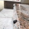 Grind To A Halt Hemisphere Grinder Minders installed on an outdoor granite planter.